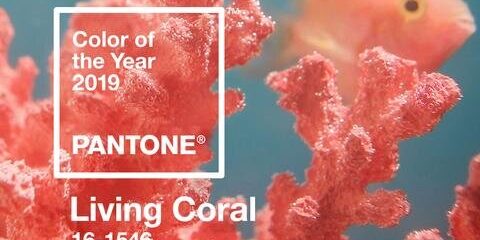 pantone-color-of-the-year-2019-living-coral-banner-mobile_large pantone color of the year